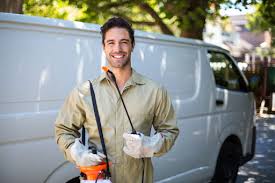 Best Outdoor Pest Control  in Rock Falls, IL